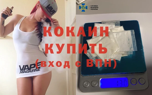 дмт Каменка