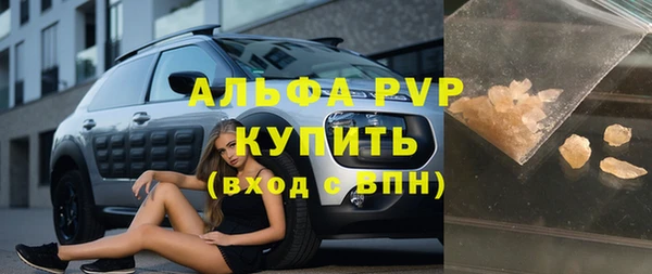 гашик Каменногорск