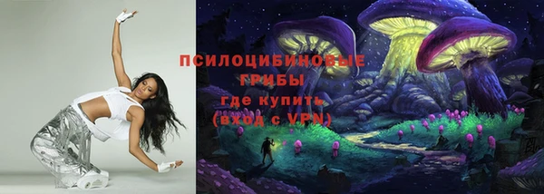 гашик Каменногорск