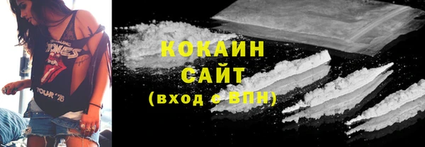дмт Каменка