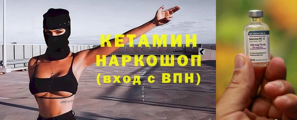 дмт Каменка