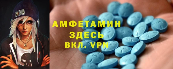 дмт Каменка