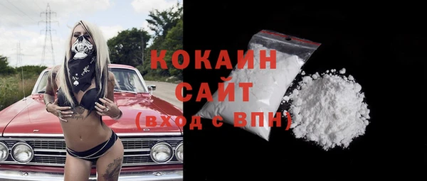 дмт Каменка