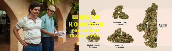 гашик Каменногорск