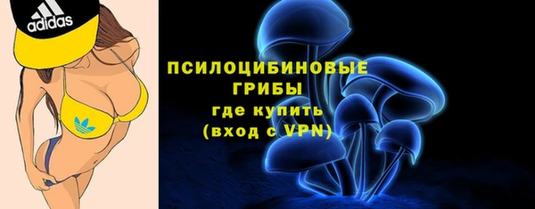 дмт Каменка