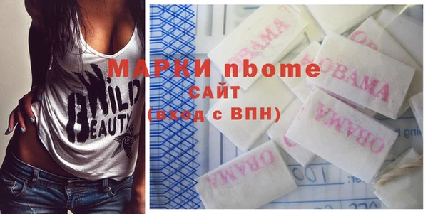 дмт Каменка