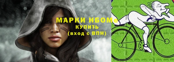 гашик Каменногорск