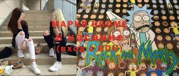 гашик Каменногорск