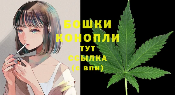 гашик Каменногорск