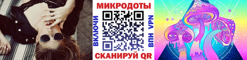 Галлюциногенные грибы Magic Shrooms  Купить где  Дно 